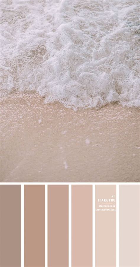 Neutral Color Scheme Soft Nude Colour Combo Soft Earth Tone Color