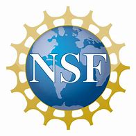 Image result for nsf logo