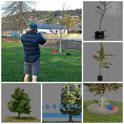 Image Based 3d Urban Tree Modeling Tree Fund