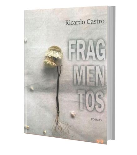 Fragmentos Literissima Editora