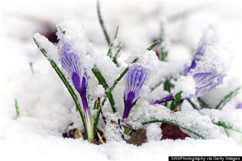 8 Ways Snow Makes You A Happier Person Huffpost