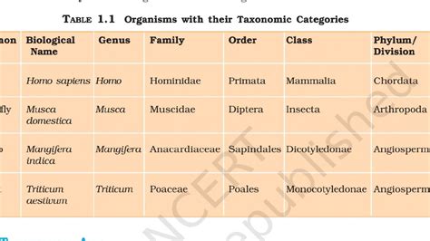 Easy Trick To Learn Organisms With Their Taxonomic Categories Table
