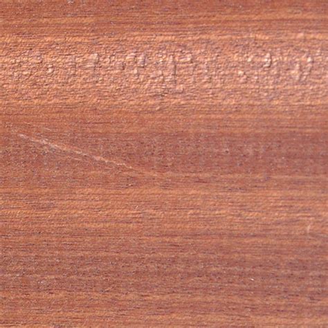 Sapele - about the timber species with English Woodlands Timber