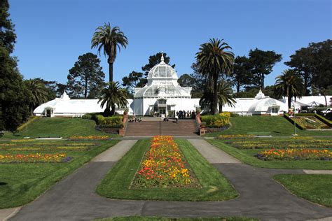 Man Eating Plants Take Over Golden Gate Parks Conservatory Of Flowers