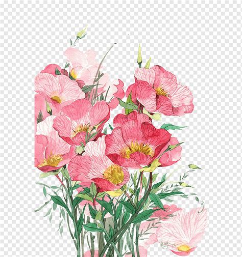 Ilustrasi Peony Merah Muda Lukisan Cat Air Bunga Karangan Bunga