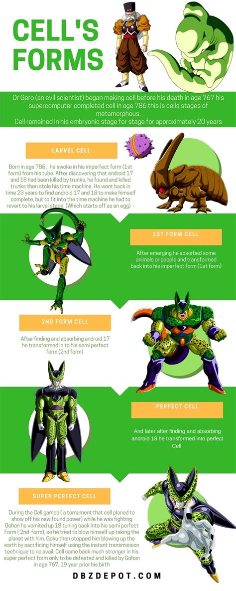 Dragonballgote Dragon Ball Z Cell Forms Perfect Cell By Noname37 On