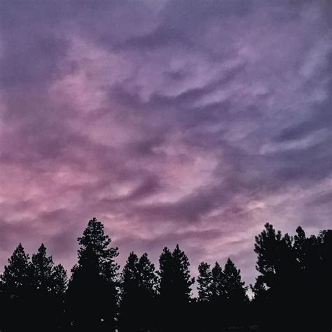 Pretty Purple Sunset Montana With Images Purple