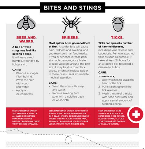 Your Guide To Common Bites And Rashes Umms Health