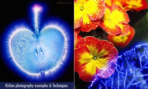 Daily Inspiration 20 Best Kirlian Photography Examples And Techniques