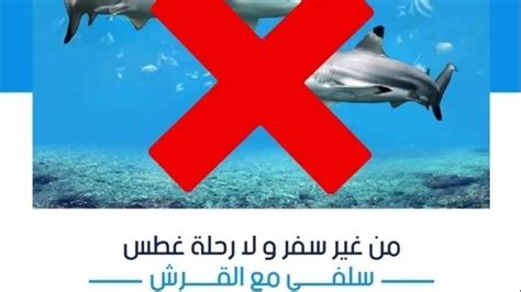 Petition · Stop Shark Captivity ·