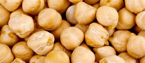 The Miraculous Benefits Of Hazelnuts Global Food United States