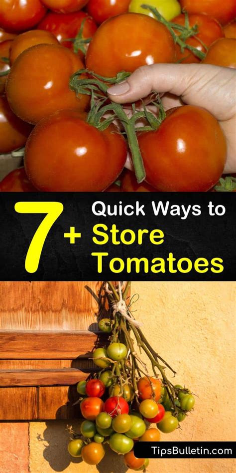 7 Quick Ways To Store Tomatoes How To Store Tomatoes Store Tomatoes