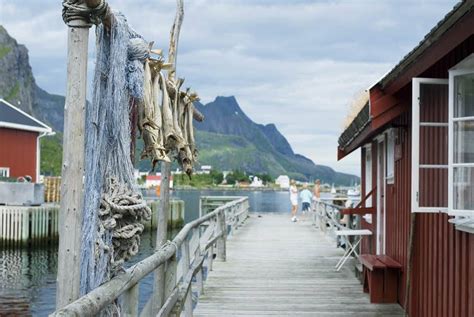 Lofoten Islands Hurtigruten Land Excursion Fjord Travel Norway