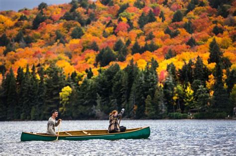 15 Most Beautiful Fall Pictures From Around The World Displate Blog