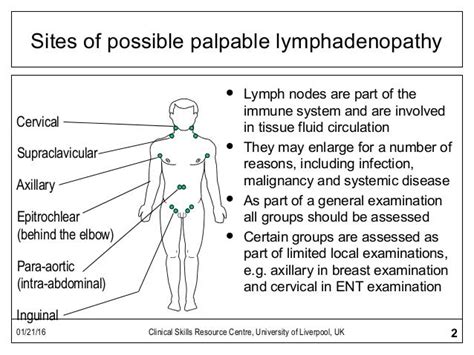 Lymph Node Examination