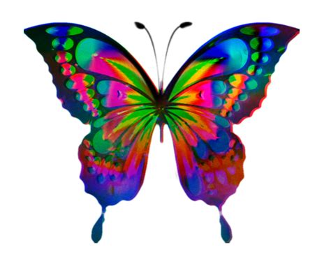 Ftstickers Rainbow Colorful Mariposa Sticker By Kingfama