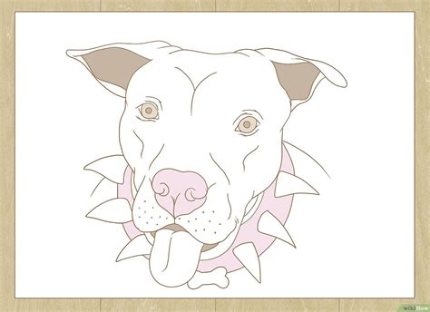 Detalle 59 Imagen Dibujos De Perros Pitbull Cachorros Thptletrongtan