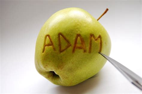 Questmark Adams Apple