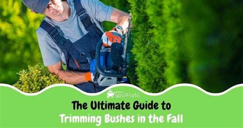 The Ultimate Guide To Trimming Bushes In The Fall