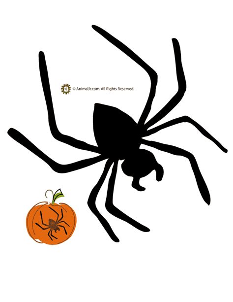 Spider Pumpkin Template Woo Jr Kids Activities Childrens Publishing