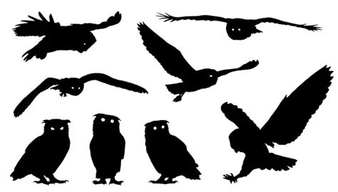 Owl Silhouette Stock Vectors Royalty Free Owl Silhouette Illustrations