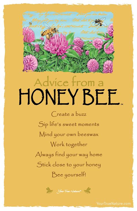 Advice From A Honey Bee Sip Lifes Sweet Moments Your True Nature Bee