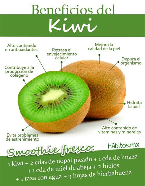 Beneficios Del Delicioso Kiwi Hábitos Health Coaching
