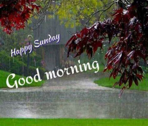 Happy Rainy Sunday Good Morning