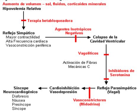 El desmayo o síncope vasovagal es una breve pérdida del conocimiento causada por la reducción del flujo sanguíneo al cerebro. Monografias.com