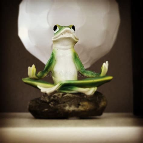 333 Zen Frog Stock Photos Free And Royalty Free Stock Photos From