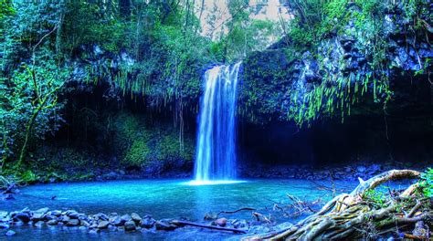Wallpaper Waterfall Beach Palm Trees Jungle Stream Hawaii