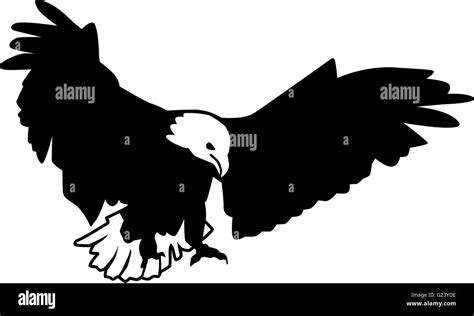 Bald Eagle Predator Stock Vector Image And Art Alamy