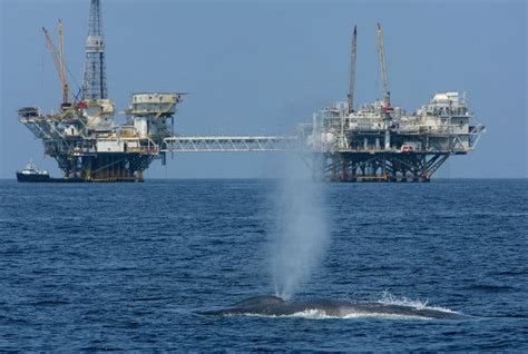 Us Moves Toward Atlantic Oil Exploration Stirring Debate Over Sea