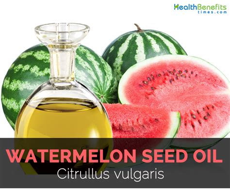 Watermelon Seed Oil Facts And Health Benefits