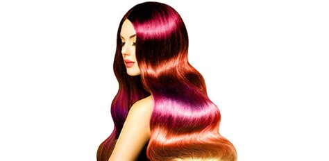 Chapter 8: Properties Of The Hair And Scalp Flashcards by ...