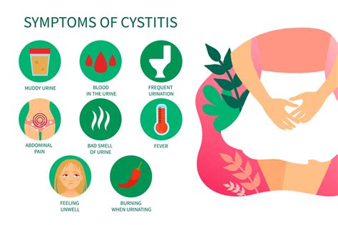 Understanding Symptoms And Treatments For Cystitis Healthy Life Essex