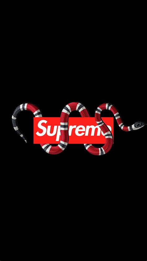 Supreme And Gucci Wallpapers Wallpaper Cave