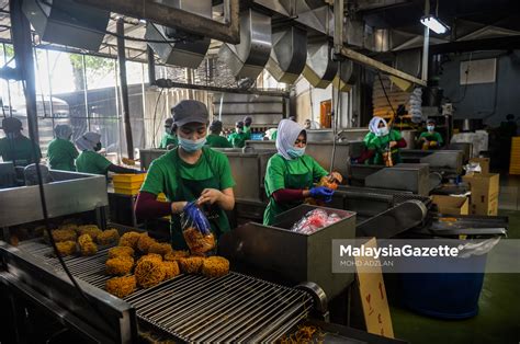 Jun 24, 2021 · pkp, pkpd, sop, ismail sabri, op benteng. Lebih ramai hilang pekerjaan jika PKP penuh dilaksana ...