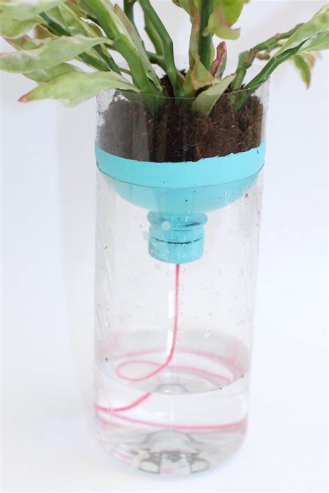 Self Watering Planters Diy Water Bottle