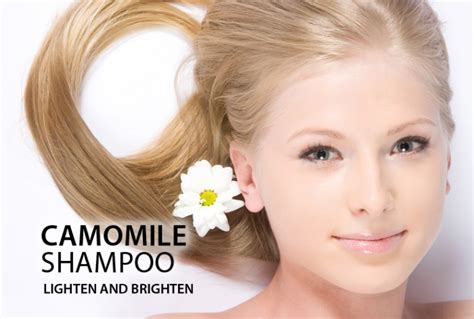 Watch my step by step video on how to do the perfect toning shampoo treatment on blonde hair and how to get the most out of your purple shampoo. CAMOMILE SHAMPOO FOR NATURAL BLOND HAIR MAINTAINS COLOUR ...