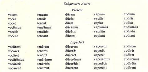 Subjunctive Mood — Latin For Rabbits