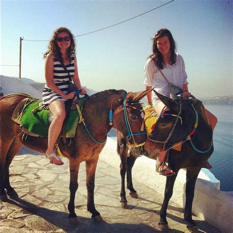 Riding Donkeys Along The Coast A Normal Day In Santorini Greek