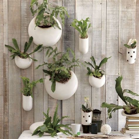 Objects Of Design Ceramic Wall Planters Ceramic Wall Planters
