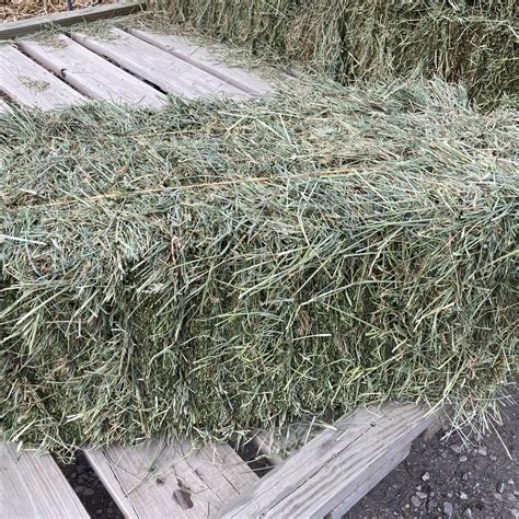 Hay For Sale In Iowa