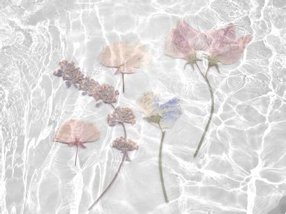 moon child // | The Tragic Heart of Nina Moon | Pale ... Flowers are one of the most beautiful creations of nature.