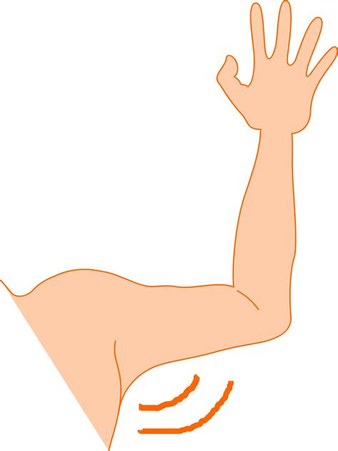 Arm Pit Icons Png Free Png And Icons Downloads
