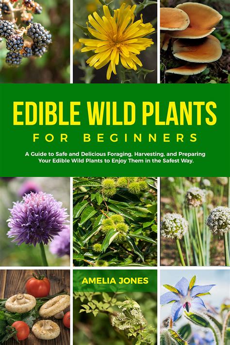 Edible Wild Plants For Beginners Guide To Foraging Harvesting And