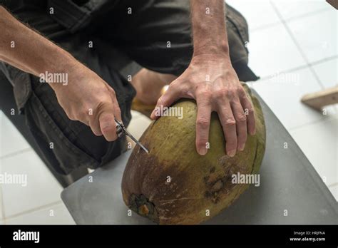 Opening A Coconut Stock Photo Alamy