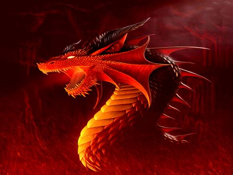 Dragon HD Wallpapers & Desktop Backgrounds(High Quality ...