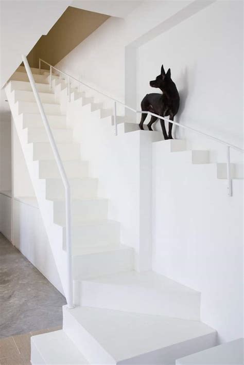 25 Examples Of Modern Stair Design That Are A Step Above The Rest